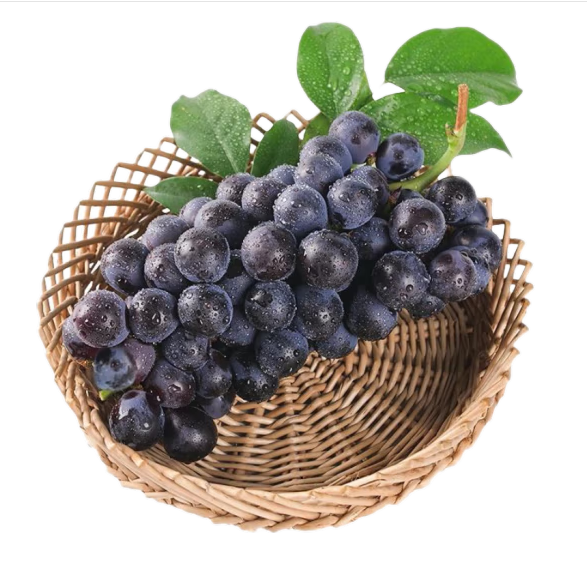 Polvere di frutta d'uva