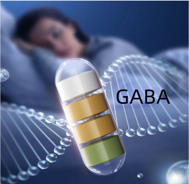 Acido γ－aminobutirrico (GABA)