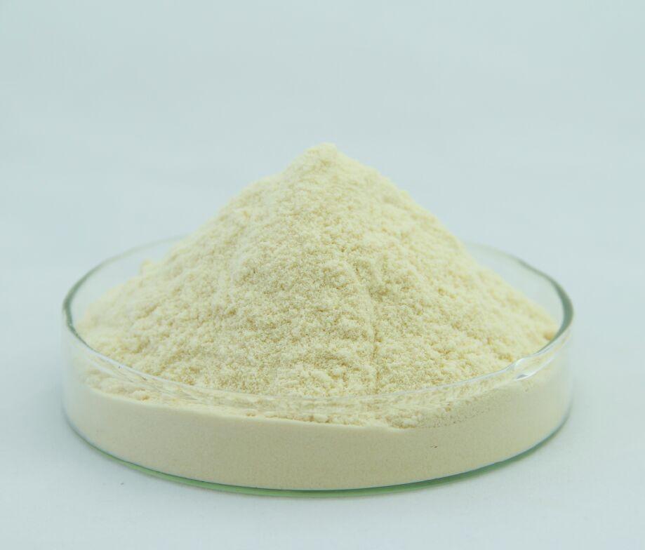Alghe Omega 3 DHA 10% in polvere USP EP